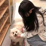 荣耀龙城手游官方下载